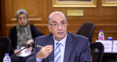 محمد عشماوي -نائب رئيس بنك ناصر